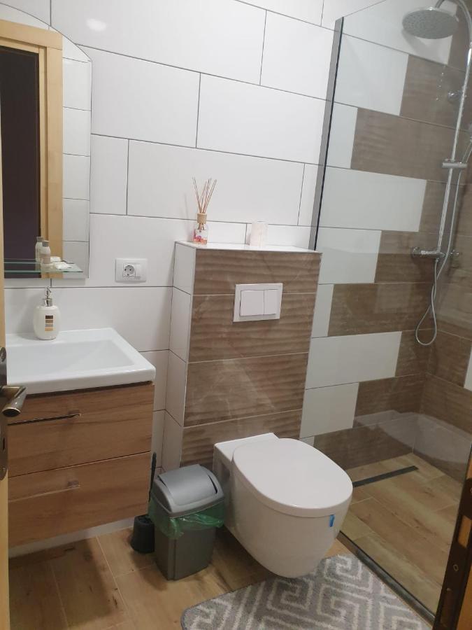 Hotel Casa Tomoiaga Vişeu de Sus Zewnętrze zdjęcie