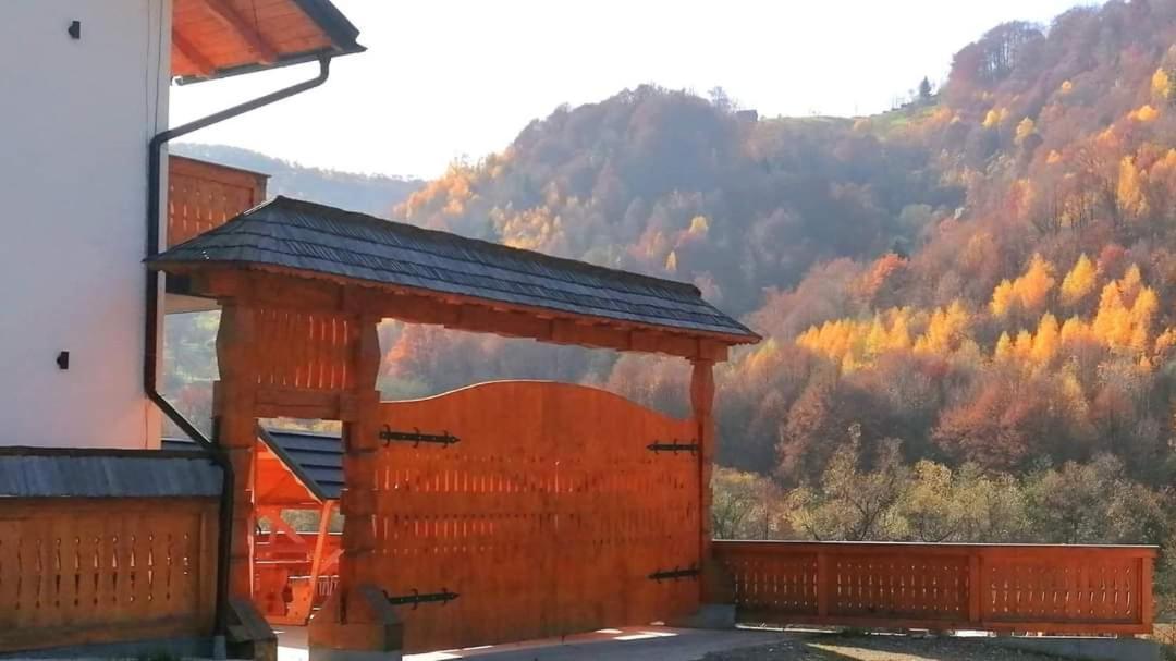 Hotel Casa Tomoiaga Vişeu de Sus Zewnętrze zdjęcie